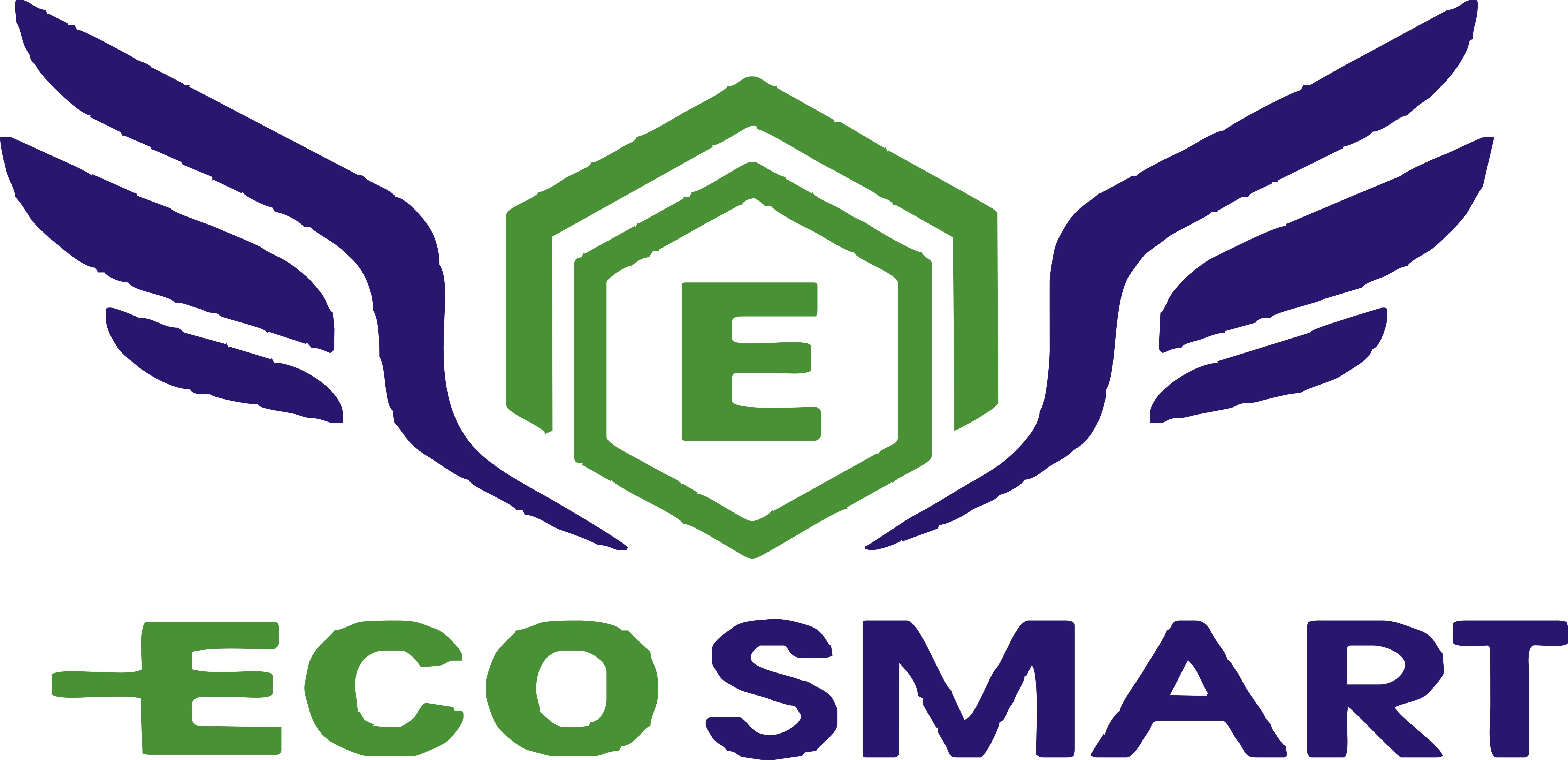 EcoSmart